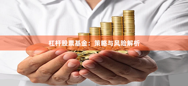 杠杆股票基金：策略与风险解析