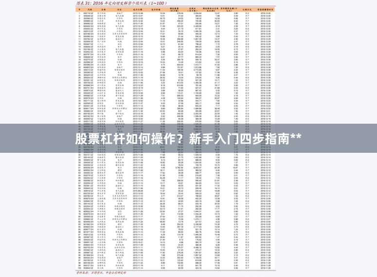 股票杠杆如何操作?新手入门四步指南**
